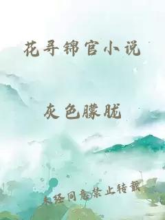 花寻锦官小说