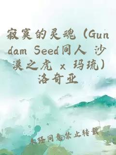 寂寞的灵魂 (Gundam Seed同人 沙漠之虎 x 玛琉)