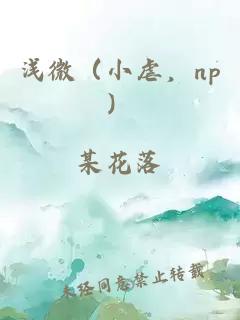 浅微（小虐，np）