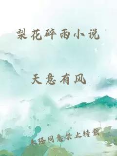 梨花碎雨小说