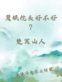 翼眠枕头好不好?