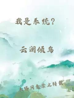 我是系统？