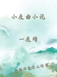 小夜曲小说