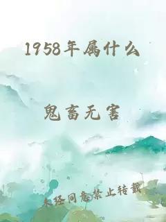 1958年属什么