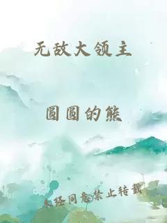 无敌大领主