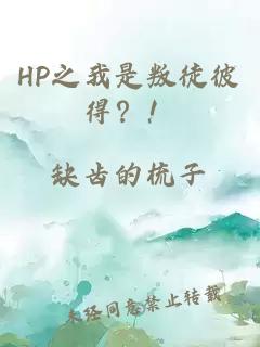 HP之我是叛徒彼得？！