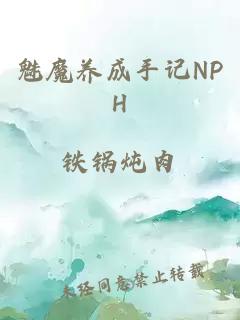 魅魔养成手记NPH